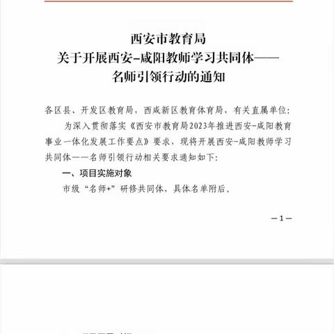 名师引领促成长—记兴平阜寨中心幼儿园参加蒋瑜“名师+”研修共同体活动