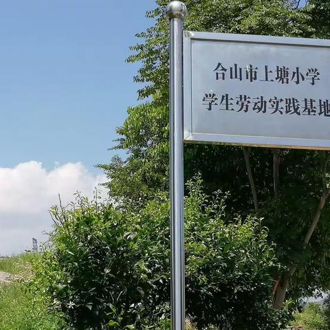 在劳动中成长 在快乐中收获智慧——合山市上塘小学学生劳动实践基地