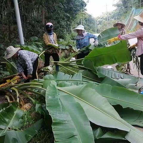 番开村黄圣梅的美篇