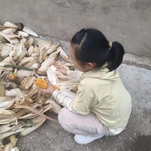 “双减”在行动，劳动最光荣——吉家房小学四年级开展劳动最光荣特色作业，助力“双减”