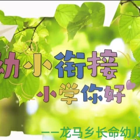 参观小学初体验，幼小衔接零距离——龙马乡长命幼儿园