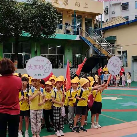 走进小学，感悟成长