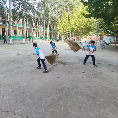 美好的一天从晨扫开始