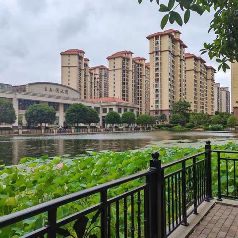 吉立浅水湾2023年8月份服务简报