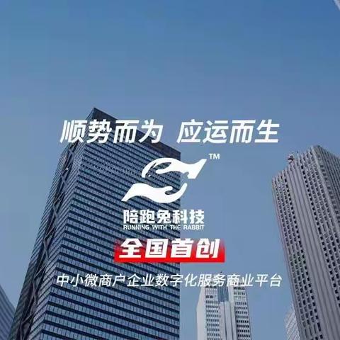 陪跑兔科技：新媒体营销领域的黑马