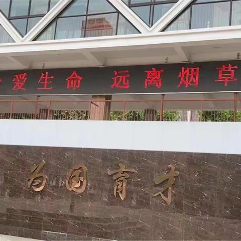 无烟 为成长护航——郑州经开区实验小学开展第36个世界无烟日宣传教育活动