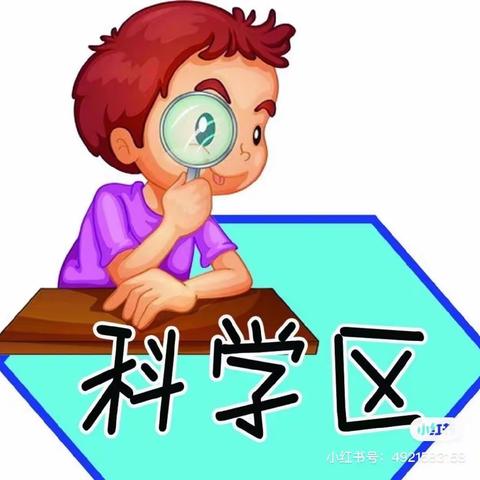 快乐的游戏📔专注的探索🔍大班科学A汇报课