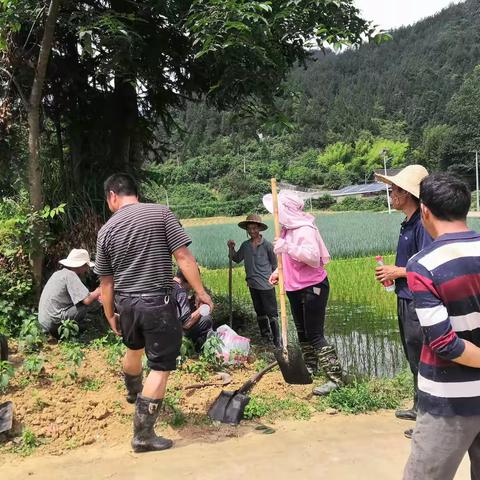 崇新村：党群合力清沟渠 除淤通水保灌溉