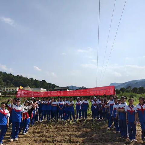 德江县第三小学五年级“劳动砺心智·实践促成长”劳动教育研学实践活动