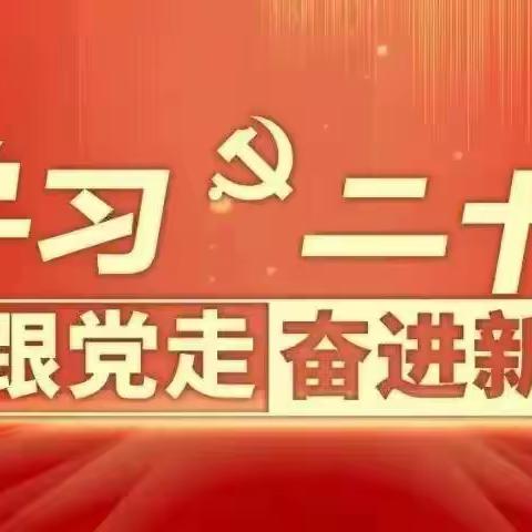 学习二十大，争做好队员——东王学区中心小学新队员入队仪式活动