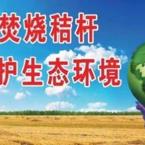 禁烧秸秆，从我做起——孟桥小学在行动