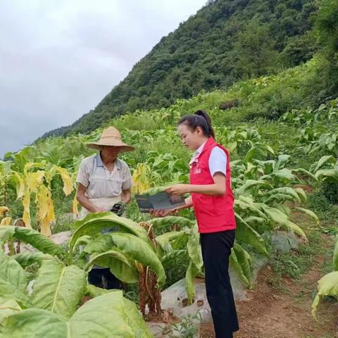 践行普惠金融   助力乡村振兴