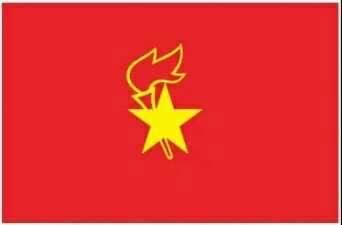 争做好队员  致敬红领巾