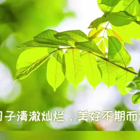 学会感恩，与爱同行！——城关实验小学家校共育报告会