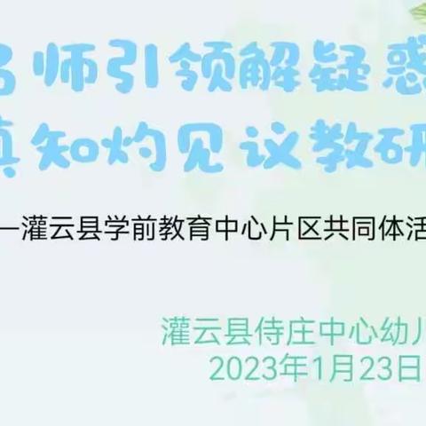 名师引领解疑惑，真知灼见议教研——灌云县学前教育中心片区发展共同体活动