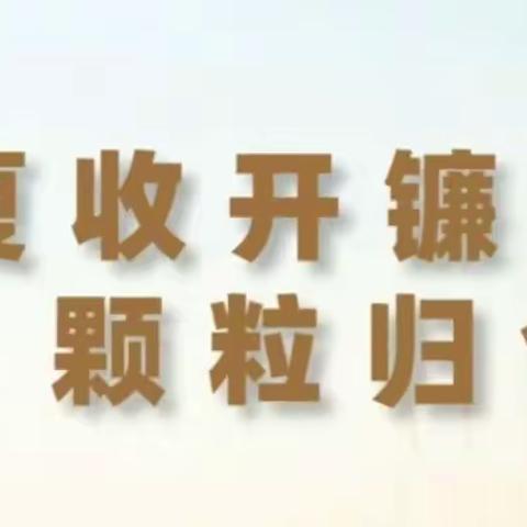 让党旗在麦收一线高高飘扬——关于号召全乡党员干部助力“三夏”生产的倡议书