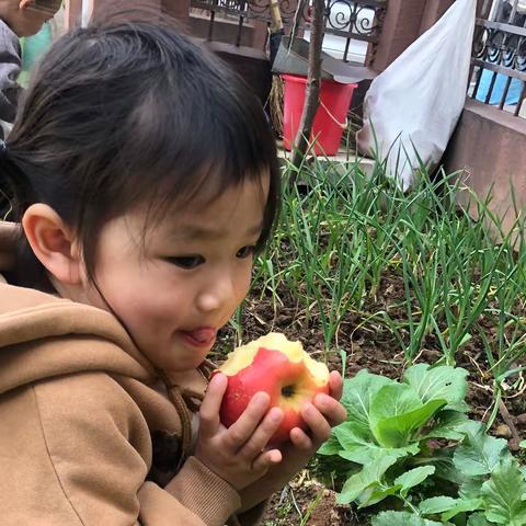 遇见春天 发芽儿 🌱