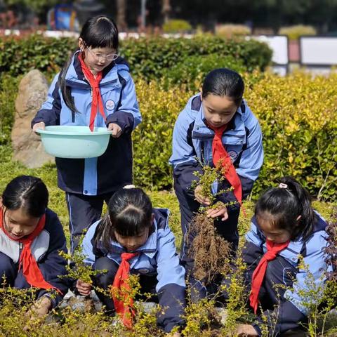 缙云县仙都小学：“我为我家添点绿  我为校园增点彩”植树节活动