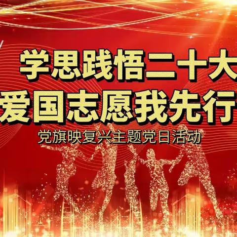 复兴区彭家寨乡南十里铺社区“学思践悟二十大 爱国志愿我先行”党旗映复兴主题党日活动