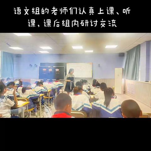 特岗新师巧汇报 泉塘活水永不息——六十四团中学