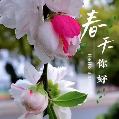 不负春光，幼见美好