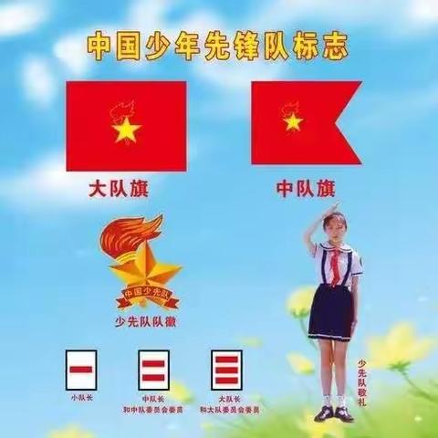 廊坊市安次区义华小学少先队入队仪式！