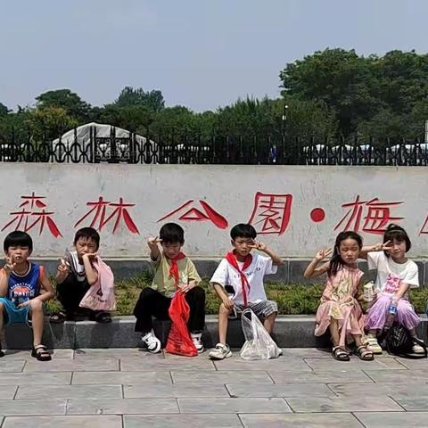 庆六一，游梅园，爱家乡，研学旅行---白楼镇沙沃小学庆“六一”研学活动