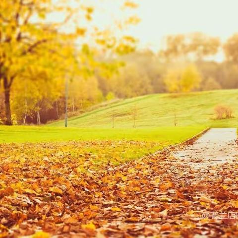 落叶绘秋天，赞自然之美——第五小学集团巴格尔分校学生特色作业作品展示