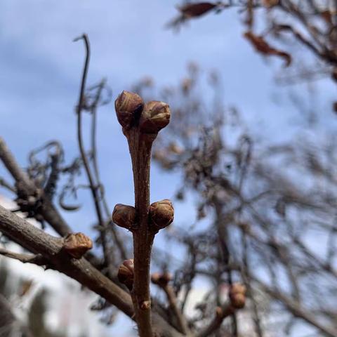 一年级学生的实践活动：动手～动脑～思维更清晰🌹🌹🌹