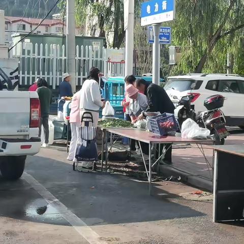 【争一流、当冠军】区执法局7月8日开展市容环境集中整治行动情况简报