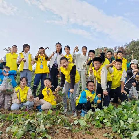 遇见田间美，“薯”我最在行--怀化市锦溪小学2018级（10）班开展劳动实践活动