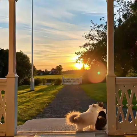 爱在朝夕相伴中