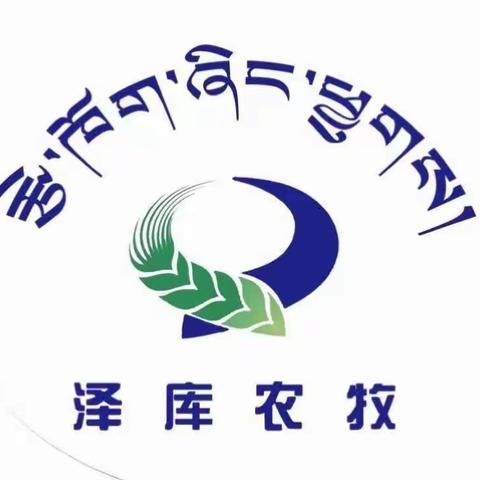 省农广校调研组督导泽库县农牧民教育培训及基层农技推广补助项目实施情况