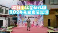 2024年东岸镇双利小红星幼儿园文节汇演