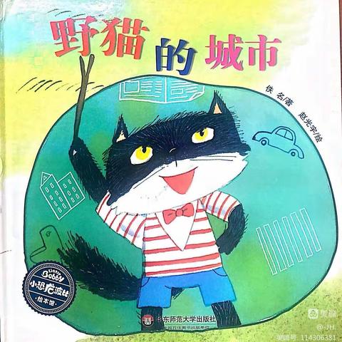 绘本故事《野猫的城市》