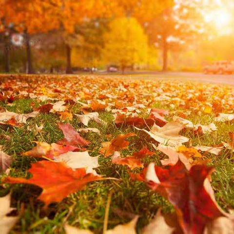 招商雍华府商业物业服务中心10月简报