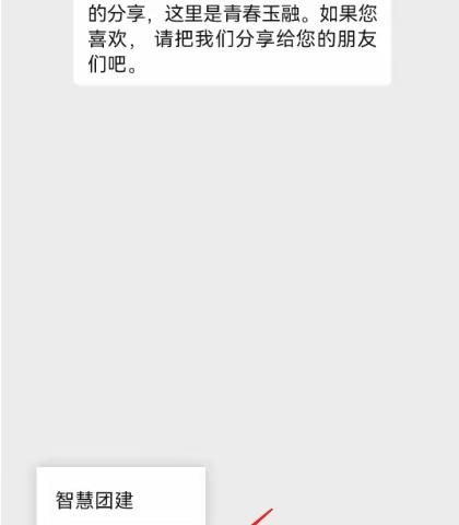 少先队员“网上主题团课”操作流程