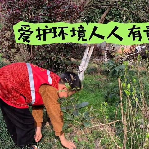 学习雷锋好榜样，志愿精神耀莲城——2203班学雷锋主题系列活动