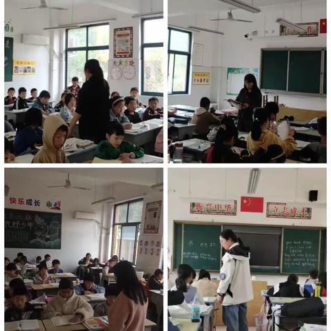 绿树浓阴夏日          如火如荼校园——马店镇中心小学一周工作小结