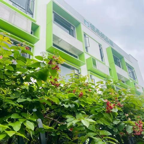 广州市番禺区洛浦街绿岛幼儿园•舌尖上的美食