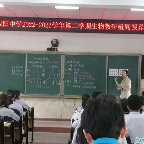 探索遗传真谛，展现教学风采——陕西咸阳中学生物组同课异构活动