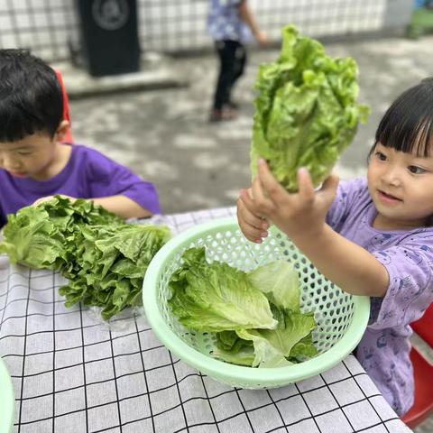 屏幼-五育并举之自己动手-制作美味（副本）