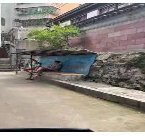 党员志愿者“随手拍” 和美家园齐创建——府城街道开展党员“随手拍”系列活动