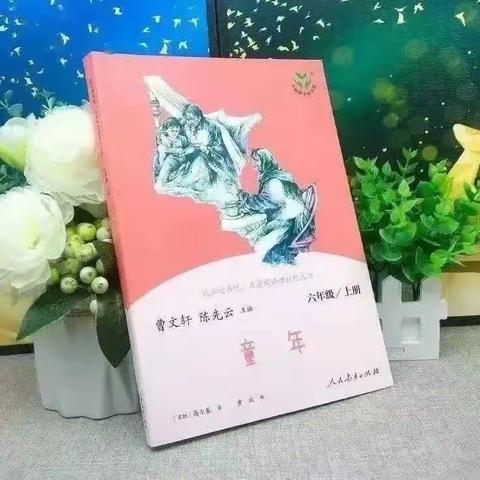 《童年》整本书阅读 展示