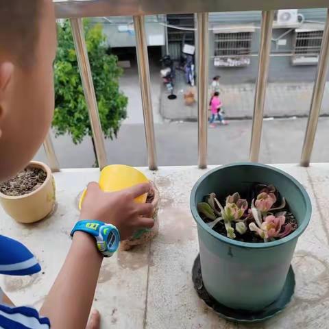 悦劳动，越快乐！悦学习，越开心！！— — 周梦宸