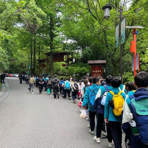 江南林雨【人民路小学503班寻春记】