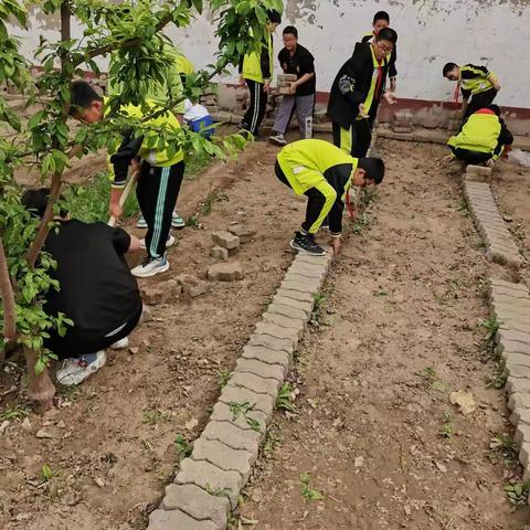 体验劳动，乐在其中一一一滦南县长凝镇中心小学