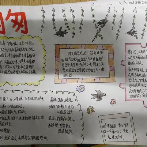 马兰头小学 “语”见导图，思维花开!