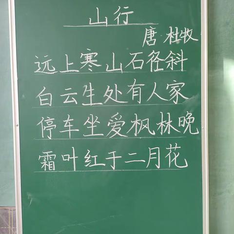 仰望星空，脚踏实地—11月总结