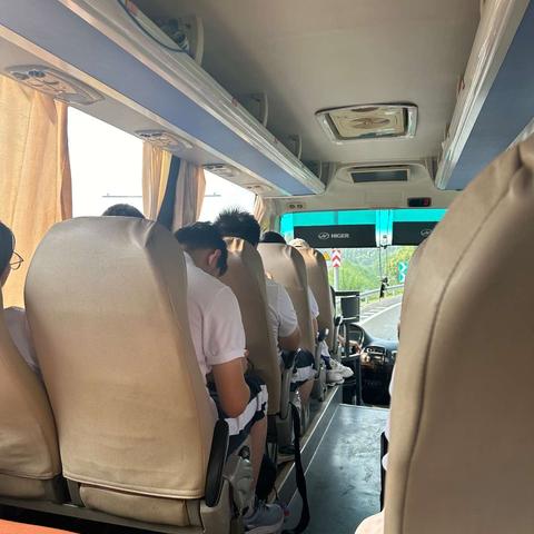 蝉鸣悄起 户外欢乐